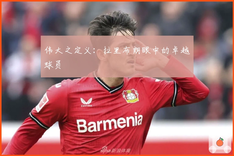 伟大之定义：拉里布朗眼中的卓越球员