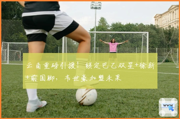 云南重磅引援！锁定巴乙双星+徐新+前国脚，韦世豪加盟未果