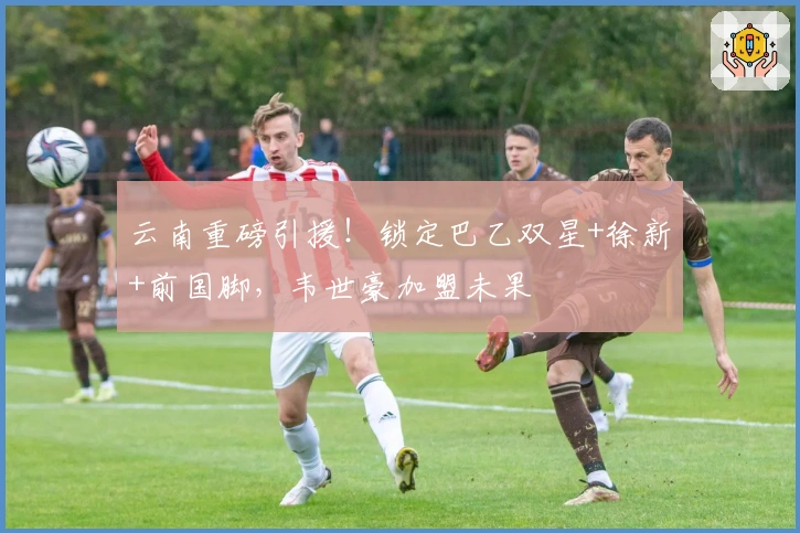 云南重磅引援！锁定巴乙双星+徐新+前国脚，韦世豪加盟未果