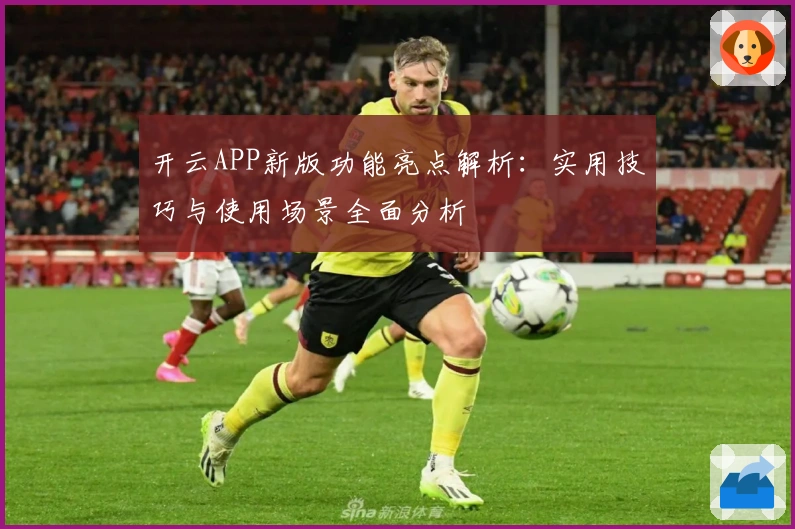 开云APP新版功能亮点解析：实用技巧与使用场景全面分析
