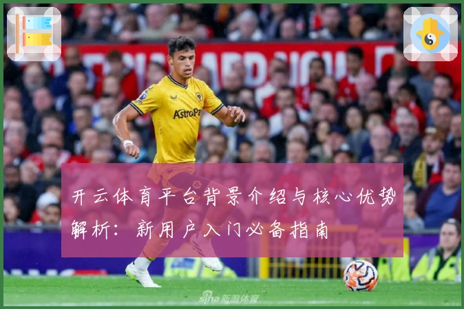 开云体育平台背景介绍与核心优势解析：新用户入门必备指南
